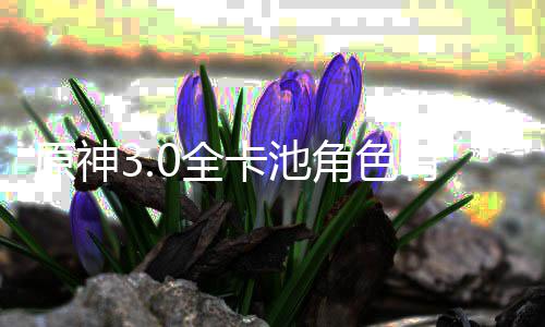 爆料角色角色卡池卡池0全0全些 信息原神有哪